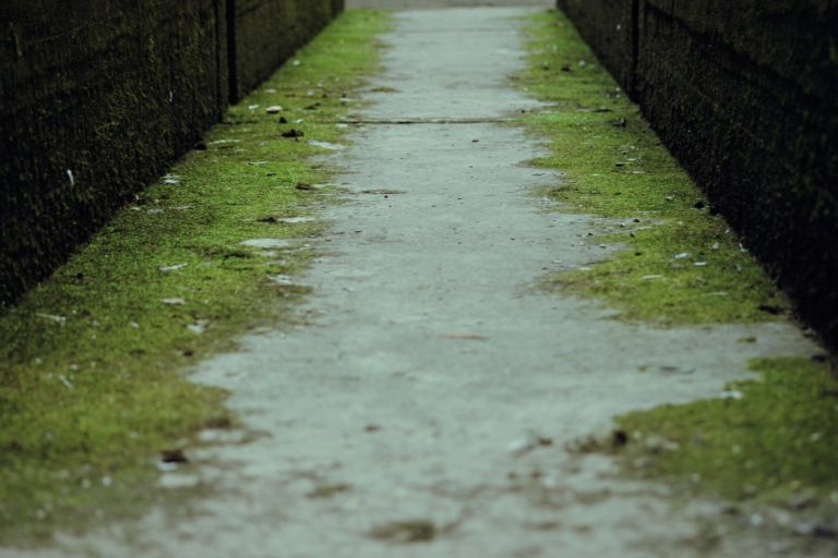 Jakie dyskursywne obrazy świata służą zaolziańskim Polakom