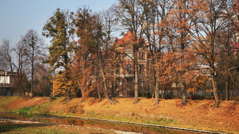 Czy słowo „Zaolzie” nam służy? O magii konotacji i sile narracji